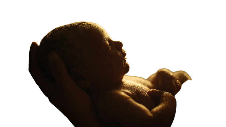 Newborn Divine Glow Vinyl Car Decal Sticker – Waterproof & UV-Resistant 