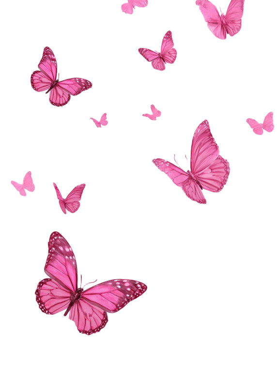 Pink Butterfly Fantasy Vinyl Car Decal Sticker – Waterproof & UV-Resistant 