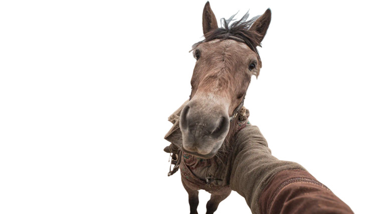 Upright Kazakh Horse Vinyl Car Decal Sticker – Waterproof & UV-Resistant 