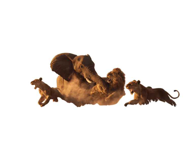 Lions Ambushing Elephant Vinyl Car Decal Sticker – Waterproof & UV-Resistant 