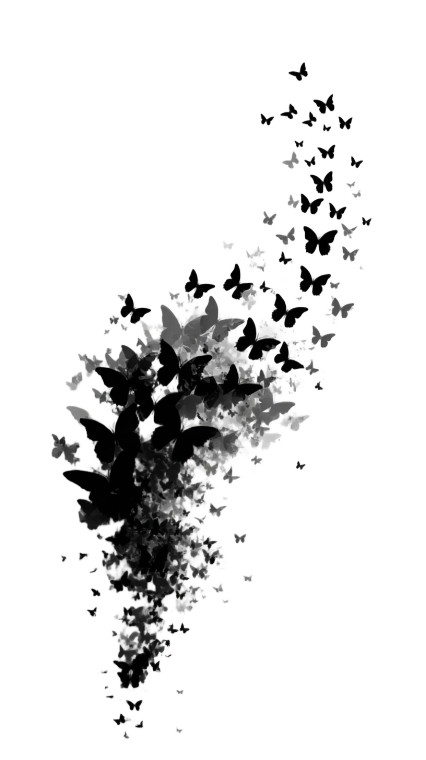 Butterfly Vector Graphic Vinyl Car Decal Sticker – Waterproof & UV-Resistant 