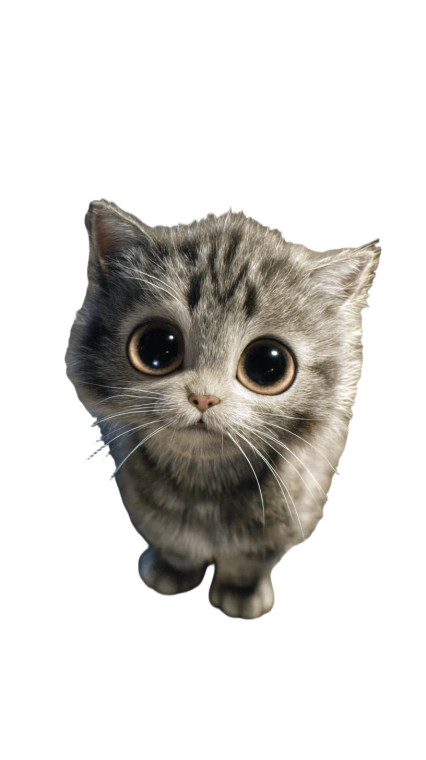 Tiny Gray Kitten Vinyl Car Decal Sticker – Waterproof & UV-Resistant 