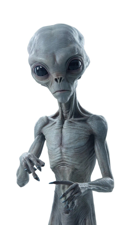 Gray Alien Portrait V3 Vinyl Car Decal Sticker – Waterproof & UV-Resistant 