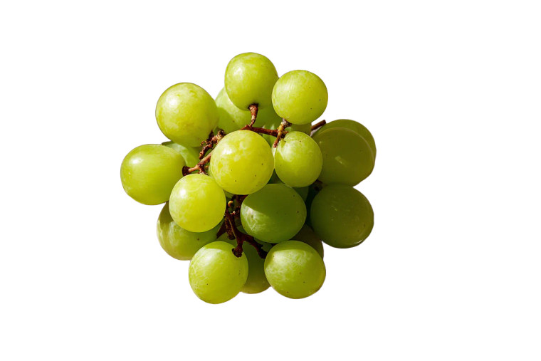 White Grapes Plate Vinyl Car Decal Sticker – Waterproof & UV-Resistant 