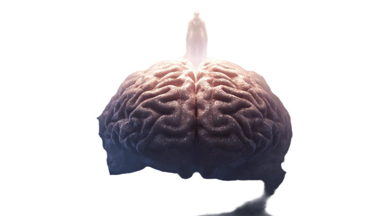 Cosmic Brain Observer Vinyl Car Decal Sticker – Waterproof & UV-Resistant 