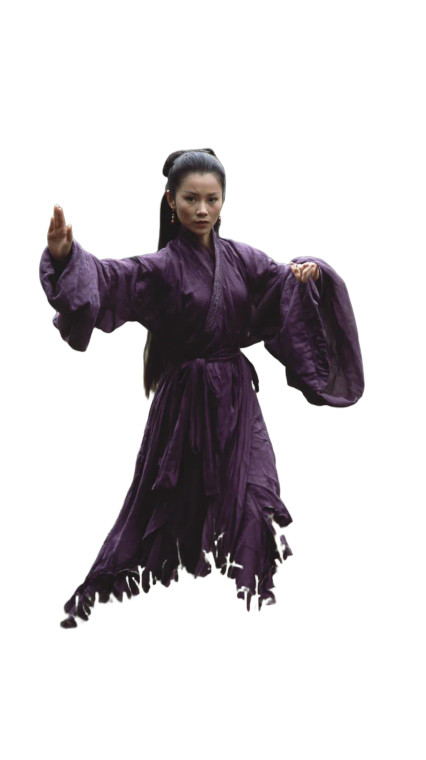 Graceful Tai Chi Vinyl Car Decal Sticker – Waterproof & UV-Resistant  Graceful Tai Chi Vinyl Car Decal Sticker – Waterproof & UV-Resistant