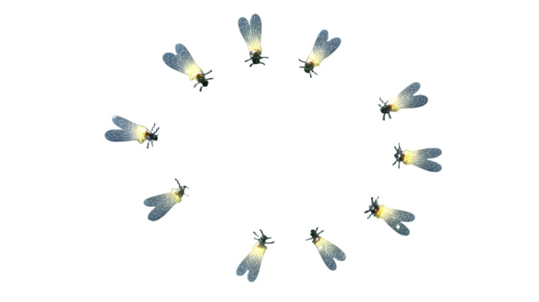 Glowing Fireflies Circle Vinyl Car Decal Sticker – Waterproof & UV-Resistant 