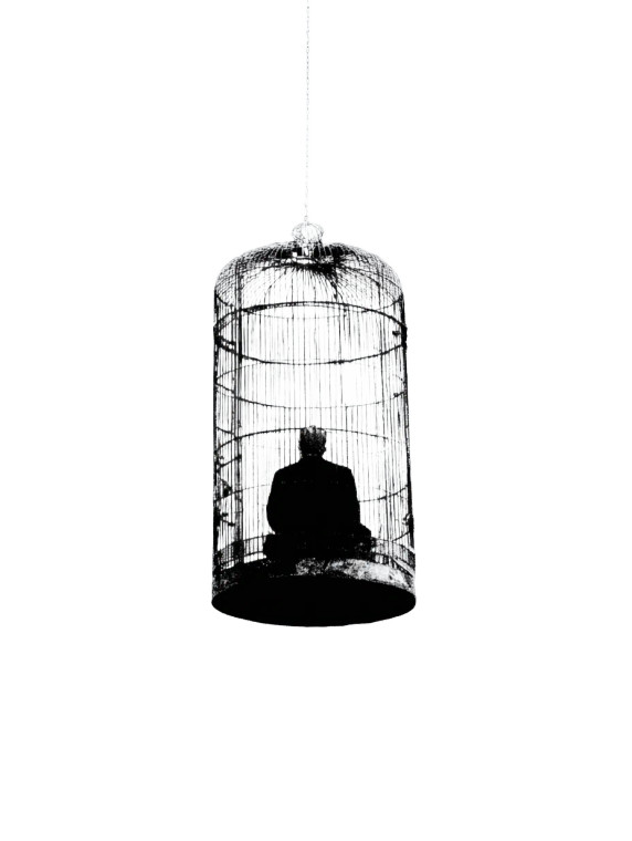 Man In Bird Cage Vinyl Car Decal Sticker – Waterproof & UV-Resistant 