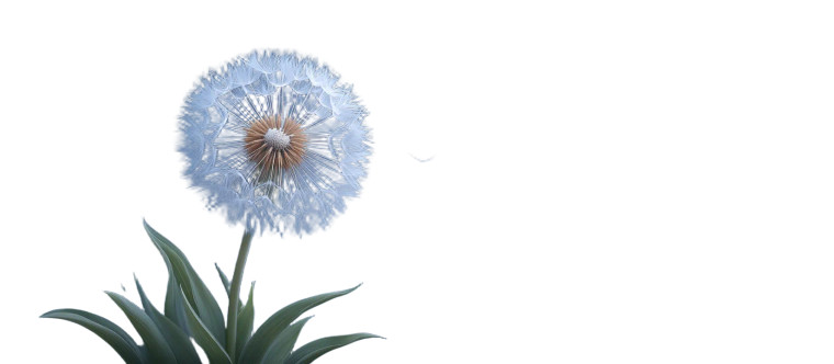 Floating Dandelion Seed V3 Vinyl Car Decal Sticker – Waterproof & UV-Resistant 