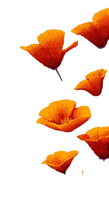 Dark Fantasy Poppy Vinyl Car Decal Sticker – Waterproof & UV-Resistant 