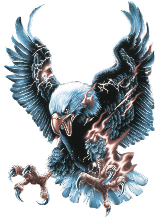 Fiery Eagle Illustration Vinyl Car Decal Sticker – Waterproof & UV-Resistant 