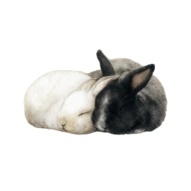 Resting Rabbits V2 Vinyl Car Decal Sticker – Waterproof & UV-Resistant 