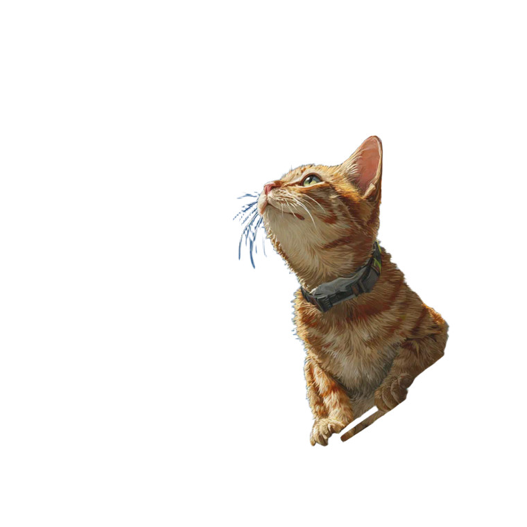 Sailing Tabby Cat Vinyl Car Decal Sticker – Waterproof & UV-Resistant 