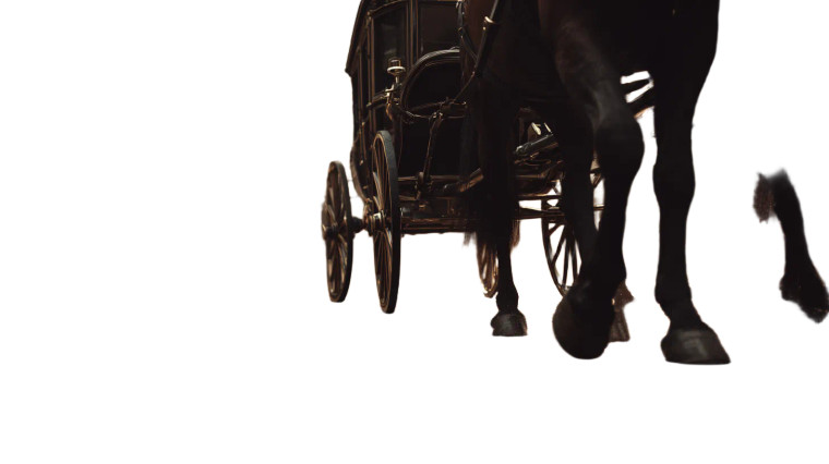 Vintage Horse Hooves Vinyl Car Decal Sticker – Waterproof & UV-Resistant 