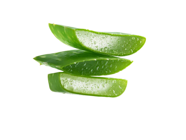Floating Aloe Slice Vinyl Car Decal Sticker – Waterproof & UV-Resistant 