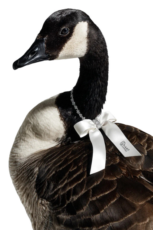 Elegant Goose Adorned Vinyl Car Decal Sticker – Waterproof & UV-Resistant 