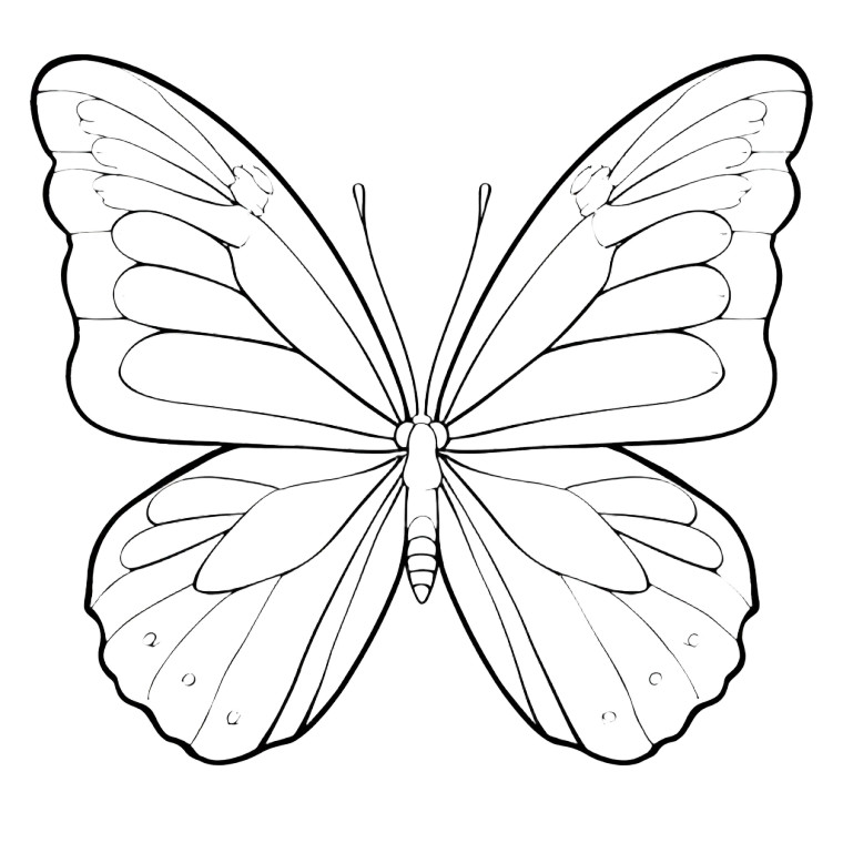 Butterfly Coloring Page Vinyl Car Decal Sticker – Waterproof & UV-Resistant 