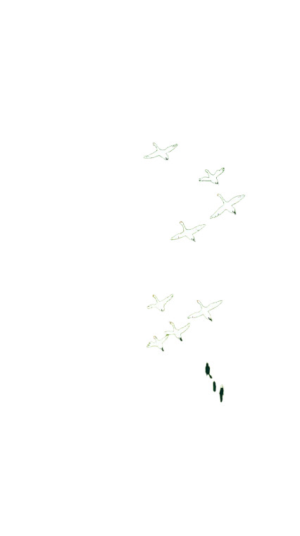 Flying Swans Pattern Vinyl Car Decal Sticker – Waterproof & UV-Resistant 