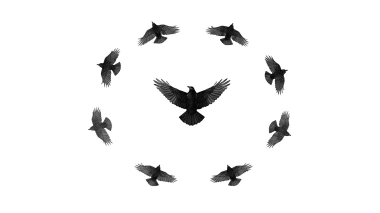 Flying Crow Sprite Vinyl Car Decal Sticker – Waterproof & UV-Resistant 