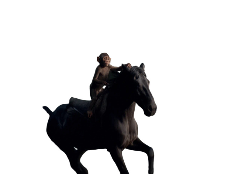 Monkey On Horse V3 Vinyl Car Decal Sticker – Waterproof & UV-Resistant 