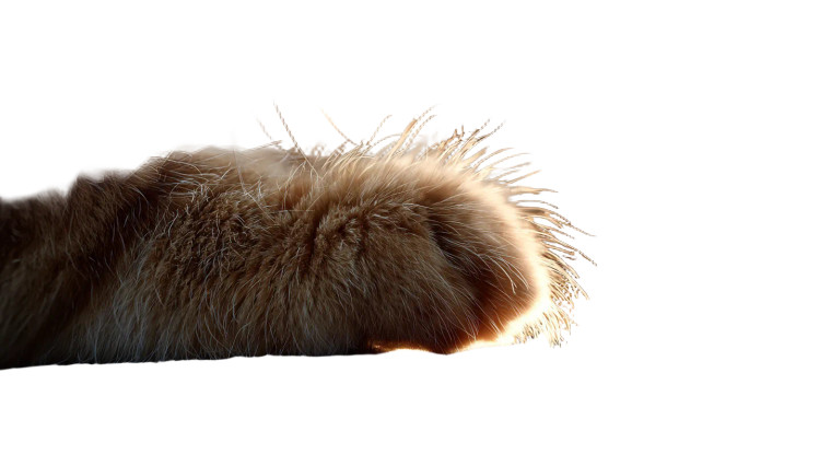 Fluffy Cat Paws Vinyl Car Decal Sticker – Waterproof & UV-Resistant 