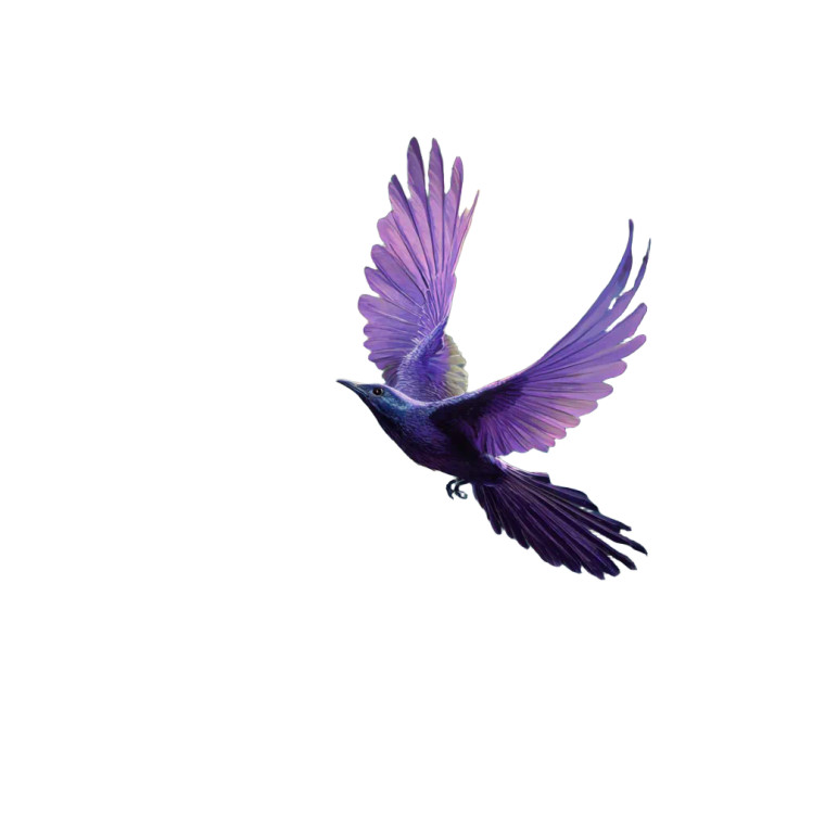 Purple Flying Bird Vinyl Car Decal Sticker – Waterproof & UV-Resistant 