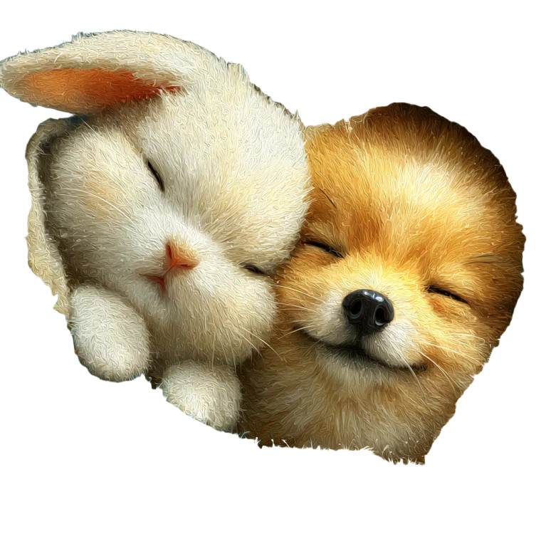 Sleeping Pets Duo V2 Vinyl Car Decal Sticker – Waterproof & UV-Resistant 