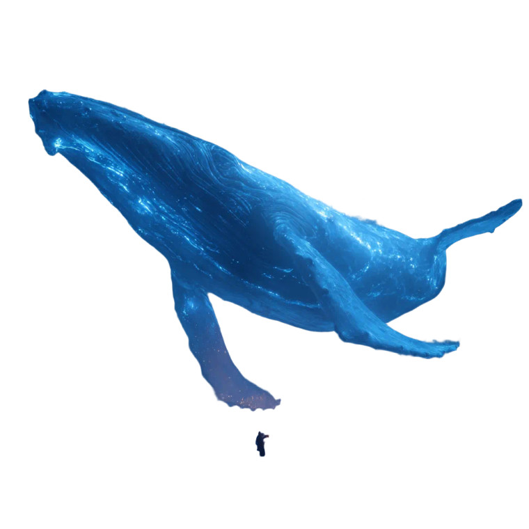 Fluorescent Flying Whale Vinyl Car Decal Sticker – Waterproof & UV-Resistant 