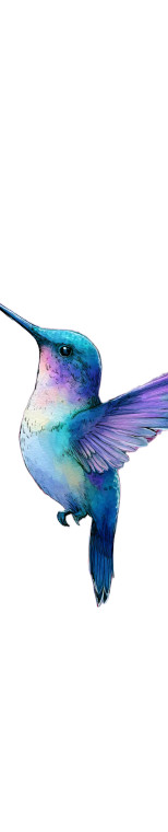 Watercolor Hummingbird Vinyl Car Decal Sticker – Waterproof & UV-Resistant 