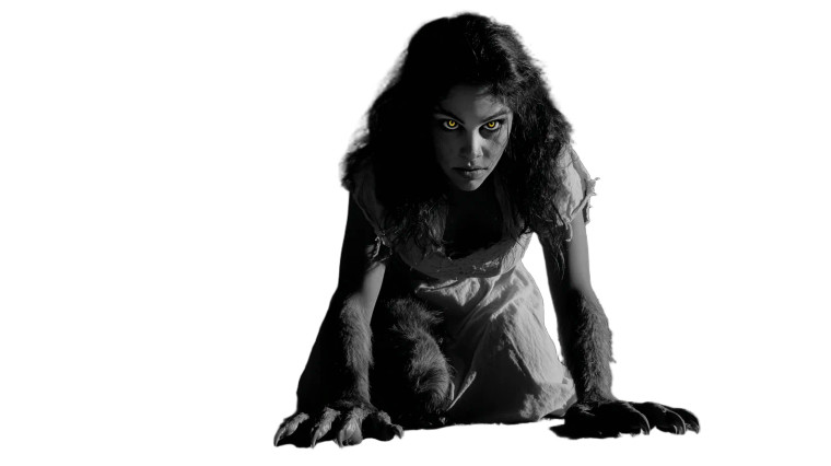 Werewolf Transformation V11 Vinyl Car Decal Sticker – Waterproof & UV-Resistant 