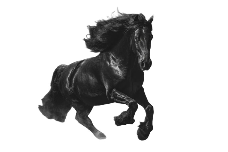 Black Horse Galloping Vinyl Car Decal Sticker – Waterproof & UV-Resistant 