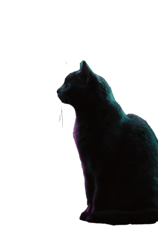 Spooky Black Cat Vinyl Car Decal Sticker – Waterproof & UV-Resistant 