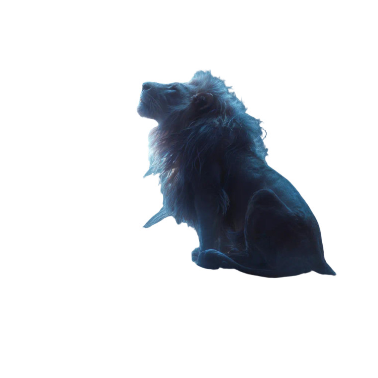 Majestic Lion Moonlight Vinyl Car Decal Sticker – Waterproof & UV-Resistant 