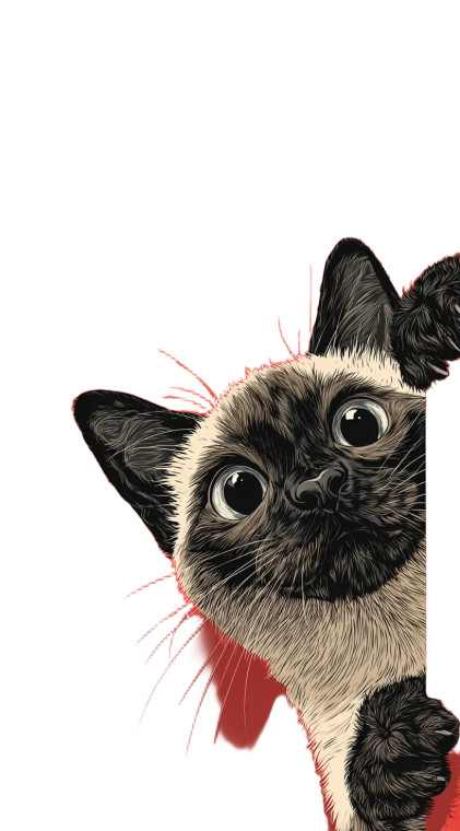 Cute Siamese Cat V4 Vinyl Car Decal Sticker – Waterproof & UV-Resistant 
