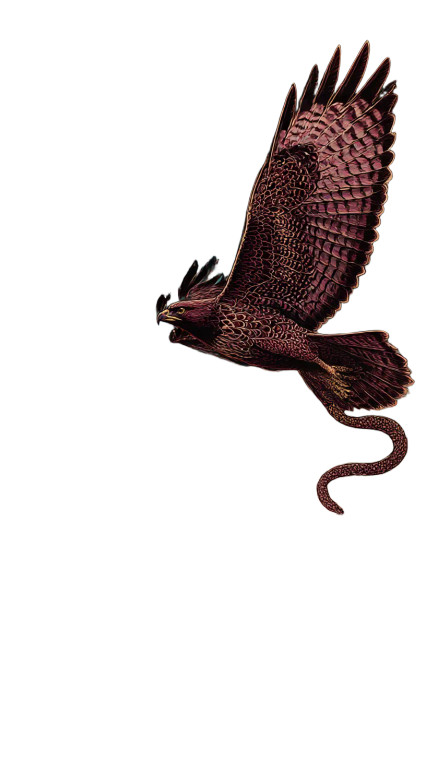 Hawk And Snake Vinyl Car Decal Sticker – Waterproof & UV-Resistant 