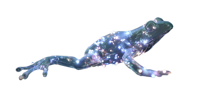 Frog Silhouette Lights Vinyl Car Decal Sticker – Waterproof & UV-Resistant 