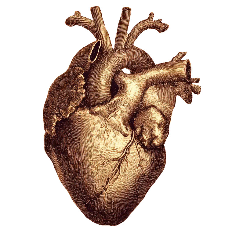 Victorian Heart Drawing Vinyl Car Decal Sticker – Waterproof & UV-Resistant 