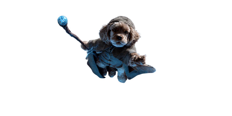 Golden Spaniel Wizard Vinyl Car Decal Sticker – Waterproof & UV-Resistant 
