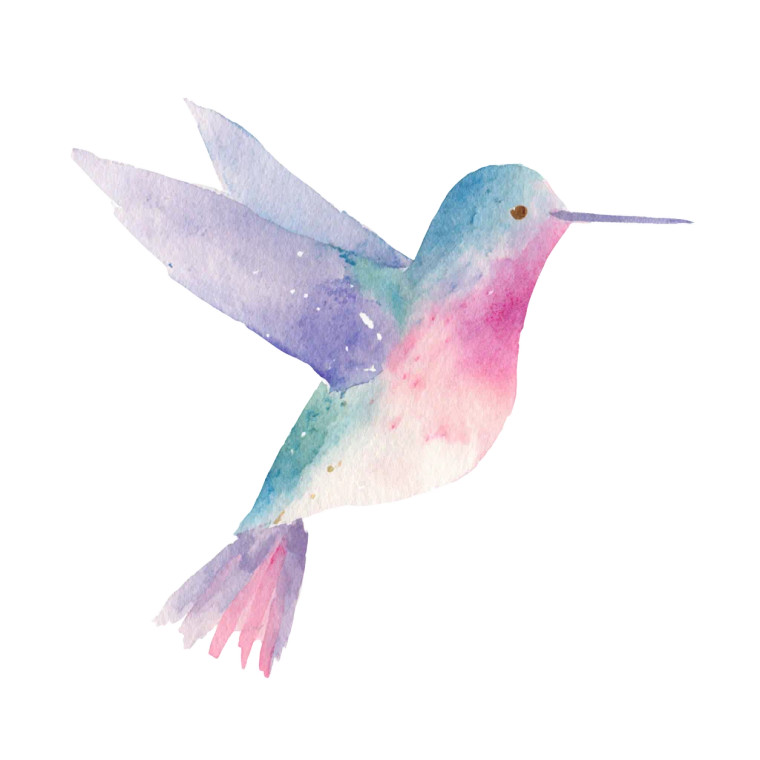Hummingbird Illustration Vinyl Car Decal Sticker – Waterproof & UV-Resistant 