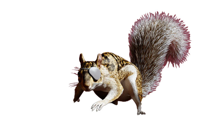 Pirate Squirrel V6 Vinyl Car Decal Sticker – Waterproof & UV-Resistant 