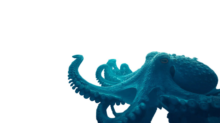 Giant Ocean Octopus V3 Vinyl Car Decal Sticker – Waterproof & UV-Resistant 