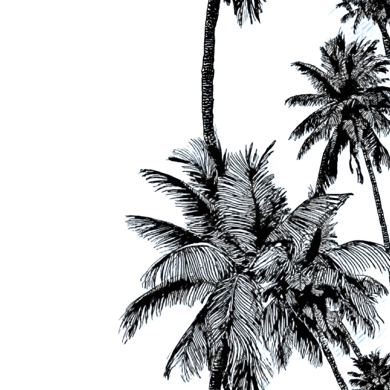 Palm Trees V3 Vinyl Car Decal Sticker – Waterproof & UV-Resistant 3.4133333333333336"