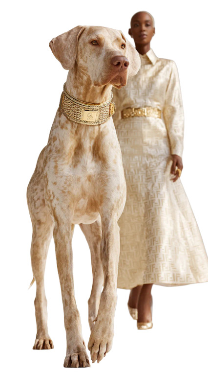 Colossal Guardian Dog V2 Vinyl Car Decal Sticker – Waterproof & UV-Resistant 9.706666666666667"