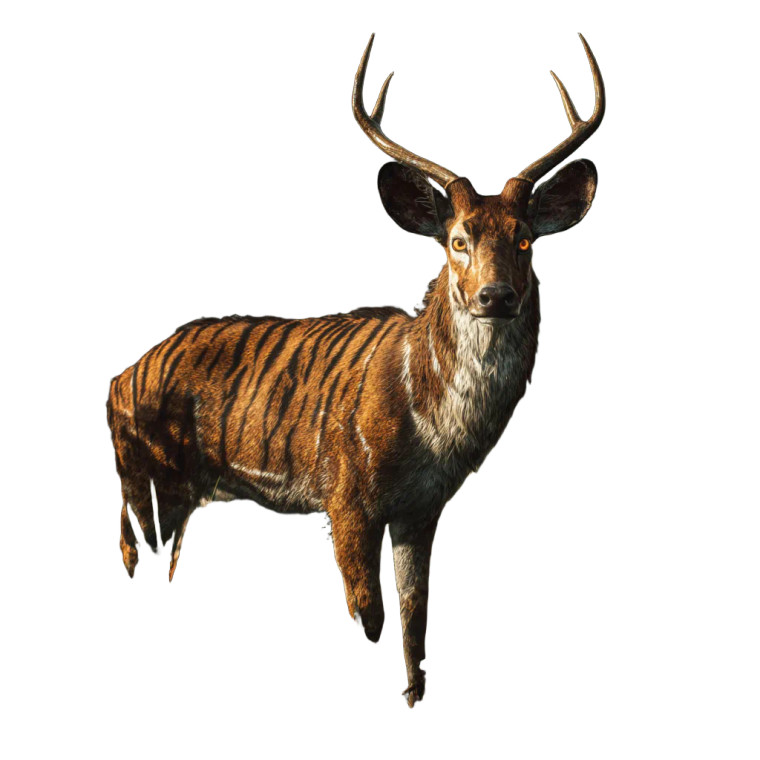 Tiger-Striped Deer Vinyl Car Decal Sticker – Waterproof & UV-Resistant 3.4133333333333336"
