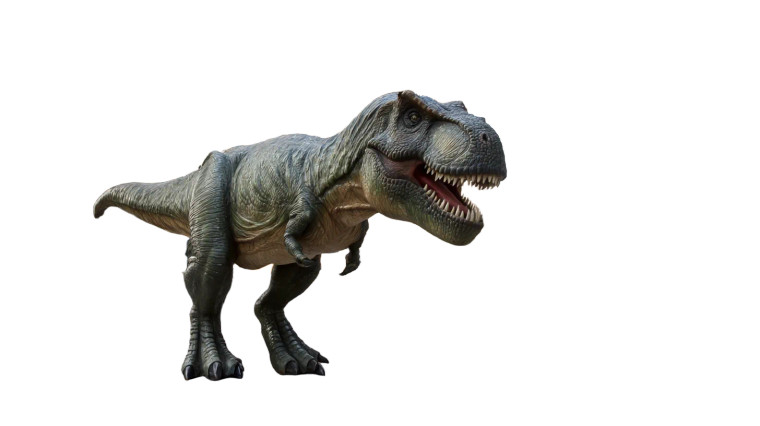 T-Rex In Nyc Vinyl Car Decal Sticker – Waterproof & UV-Resistant 5.4