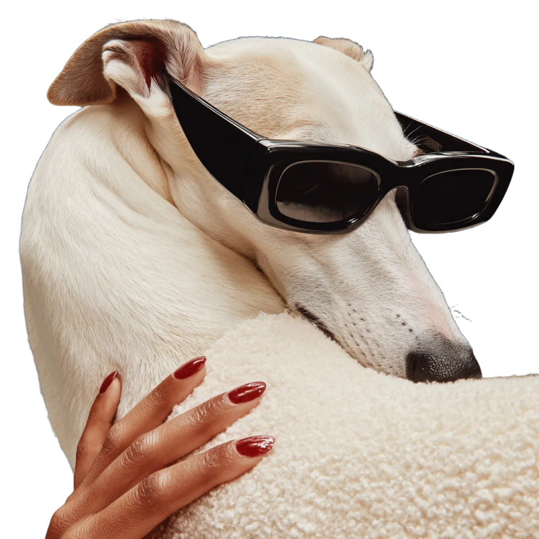 Stylish Greyhound V2 Vinyl Car Decal Sticker – Waterproof & UV-Resistant 3.4133333333333336"