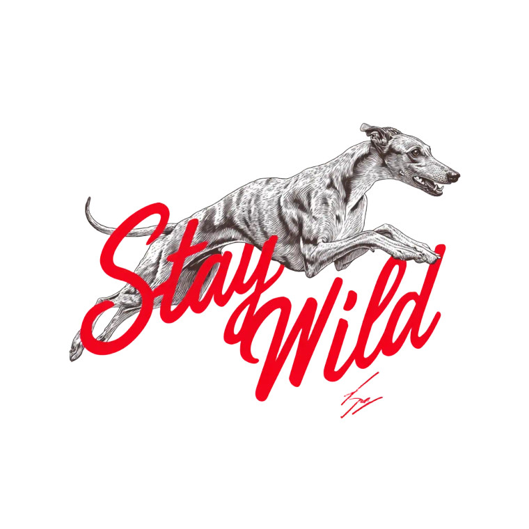 Running Greyhound Logo Vinyl Car Decal Sticker – Waterproof & UV-Resistant 3.4133333333333336"