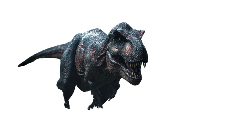Scarred T-Rex V2 Vinyl Car Decal Sticker – Waterproof & UV-Resistant 2.72"
