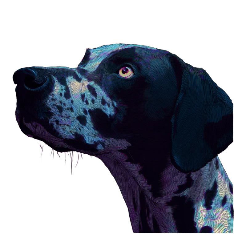 Dog V55 Vinyl Car Decal Sticker – Waterproof & UV-Resistant 3.4133333333333336"