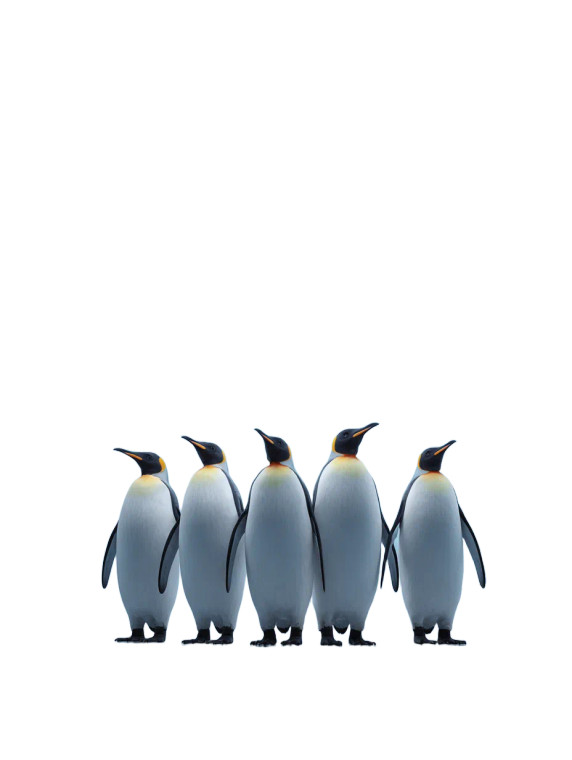 Penguin Ad Poster Vinyl Car Decal Sticker – Waterproof & UV-Resistant 8.213333333333333"